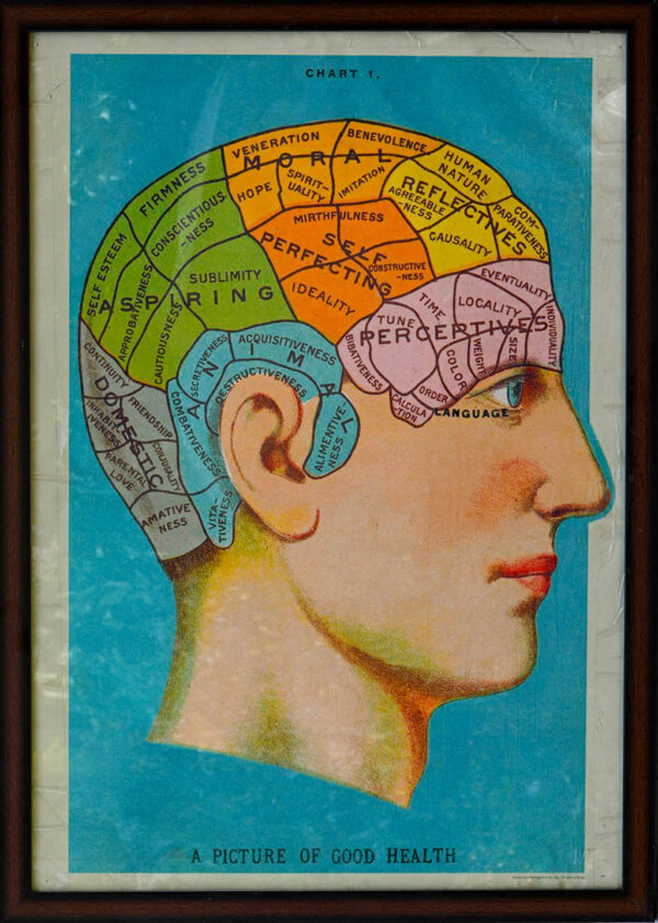 Unknown - Untitled 5