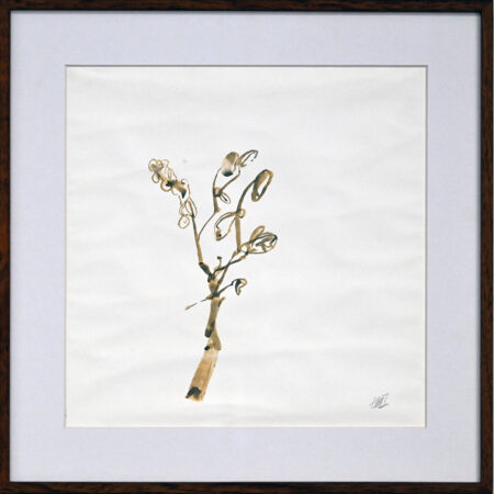 Himmat Shah - Untitled 16