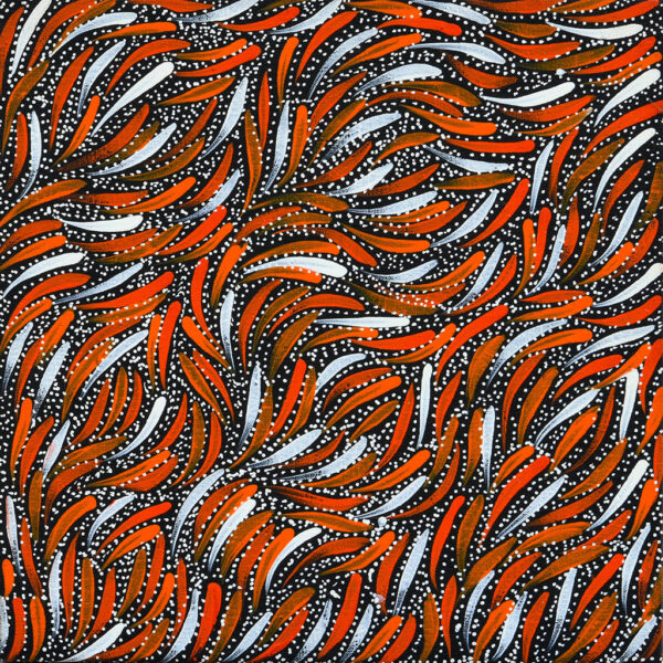 Rosemary Pitjara Petyarre - Untitled 1