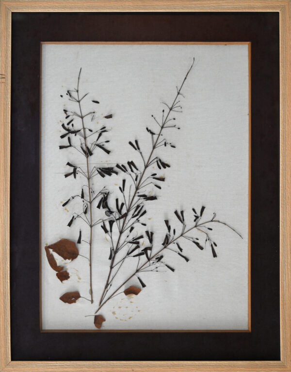 DSC_4871 Untitled 151