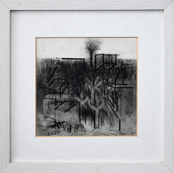 DSC_4874 Untitled 152