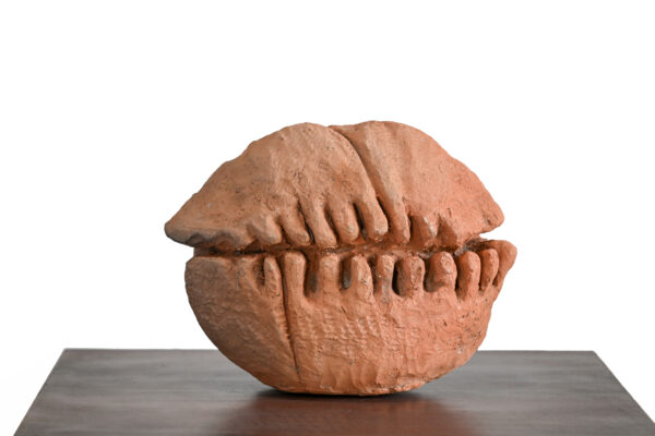 Unknown - Untitled 37